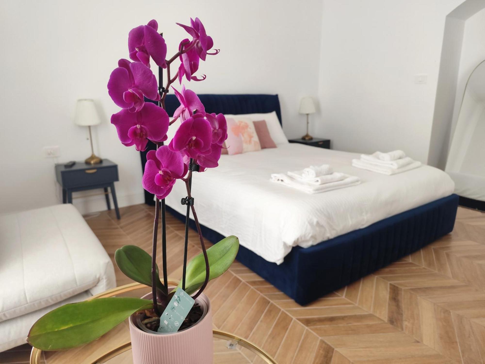 Vatican Eco Suite 로마 외부 사진